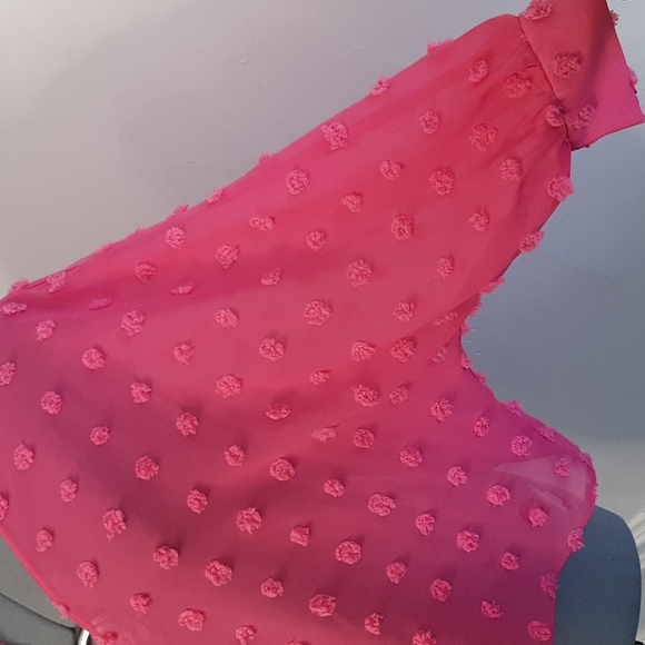 Xs pink sheer Zara shirt - Picture 5 of 5